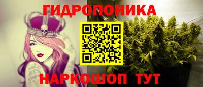 PSILOCYBIN Сланцы