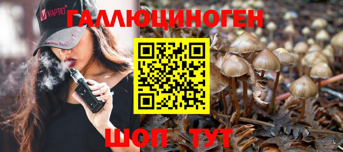 Галлюциногенные грибы MAGIC MUSHROOMS Санкт-Петербург