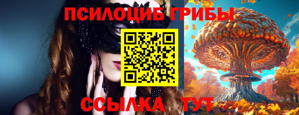 Галлюциногенные грибы Magic Shrooms  Галлюциногенные грибы прущие грибы  Санкт-Петербург  Вход с VPN 